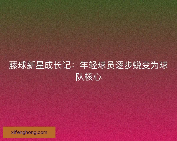 藤球新星成长记：年轻球员逐步蜕变为球队核心